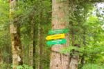 2014-07-05_Laengental-N-Hochweg (210). JPG
